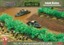 BB187: Jungle Bushes