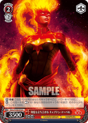 Captain Marvel(Dmv/S104-074)