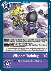 Wisdom Training (Blast Ace Box Topper) - P-108