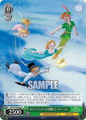 Peter Pan(Dds/S104-036)