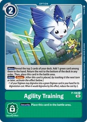 Agility Training (Blast Ace Box Topper) - P-106