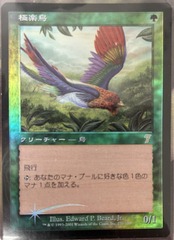 Birds of Paradise Foil Japanese 7th Edition