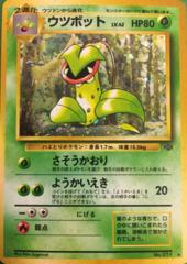 Victreebel - Holo Rare