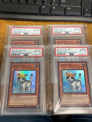 Rescue Cat - TU03-EN002 PSA 8