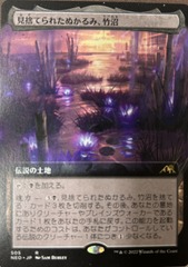 Takenuma Abandoned Mire Japanese Extended Art Kamigawa Neon Dynasty