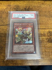 Familiar-Possessed - Lyna - Secret Rare PSA 9 Japanese