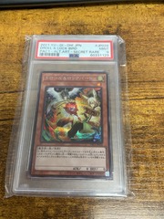 Droll & Lock Bird - PAC1-JP026 Alt Art Secret Rare PSA 9 Japanese