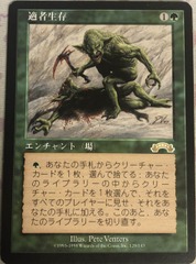 Survival of the Fittest Japanese Exodus Moderate Play