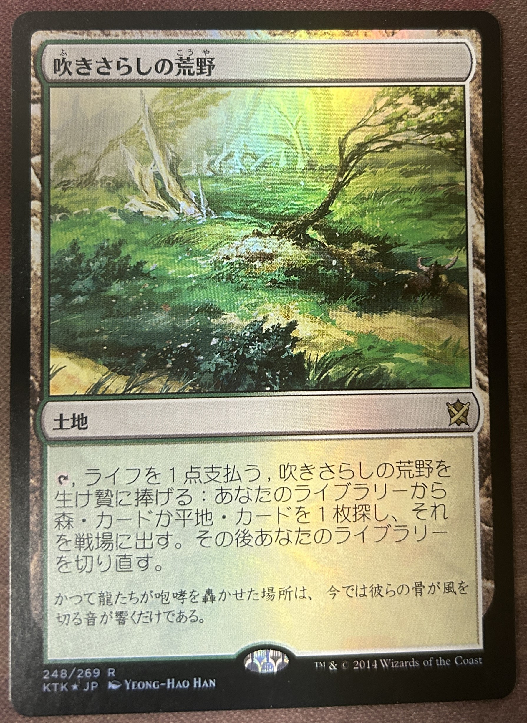 MTG 吹きさらしの荒野/Windswept Heath 英語版 [ONS] 1枚