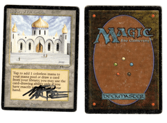 Library of Alexandria Signed Mark Poole