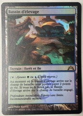Breeding Pool Foil French Gatecrash