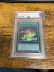 Cynet Mining - PAC1-JP047 Secret Rare PSA 9