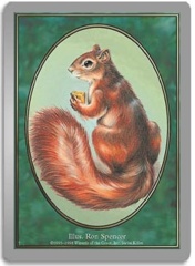 Squirrel token