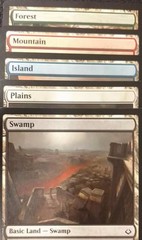 Bulk - MTG - 60 Random Basic Lands