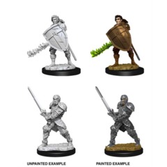 D&D Nolzur's Marvelous Miniatures: Male Human Fighter