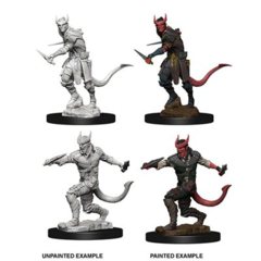 D&D Nolzur's Marvelous Miniatures: Tiefling Male Rogue