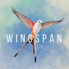 Wingspan 2nd edition  - STM910