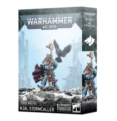 53-35 Njal Stormcaller