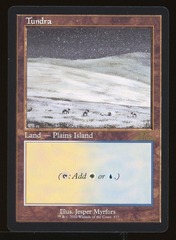 Tundra - NM _11665