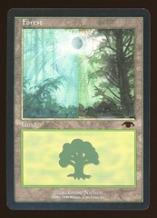 Forest - LP _11749