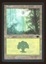 Forest - LP _11749
