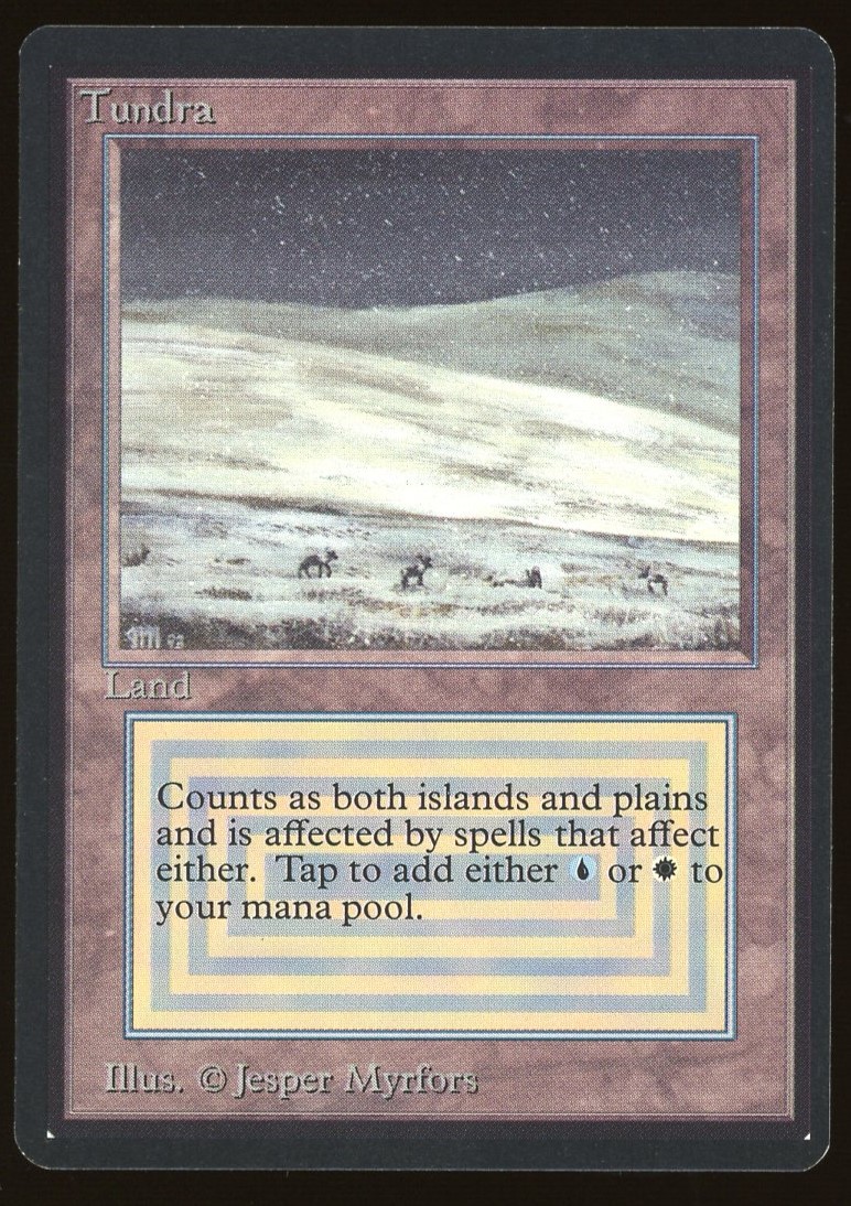 Tundra - NM _12059