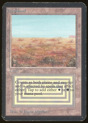 Scrubland - HP _11985