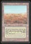Scrubland - HP _11985
