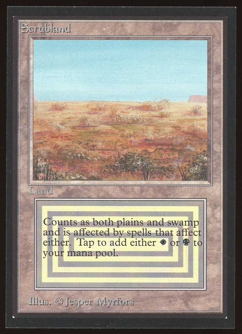 Scrubland - NM _8360