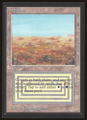 Scrubland - NM _8360