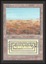 Scrubland - NM _8360
