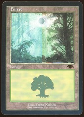 Forest - LP _11754
