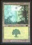Forest - LP _11754
