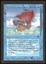 Pirate Ship _C1118