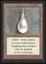Mox Pearl - NM _8343