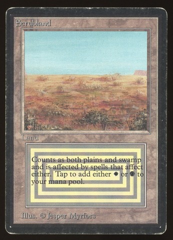 Scrubland - HP _11267
