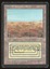 Scrubland - HP _11267