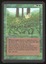 Kudzu - LP _11055