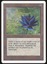 Black Lotus - LP *Roller Line _10369