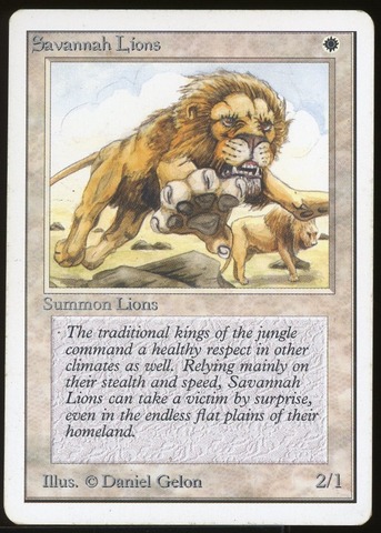 Savannah Lions - MP _12097