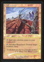 Wasteland - LP Foil _11872
