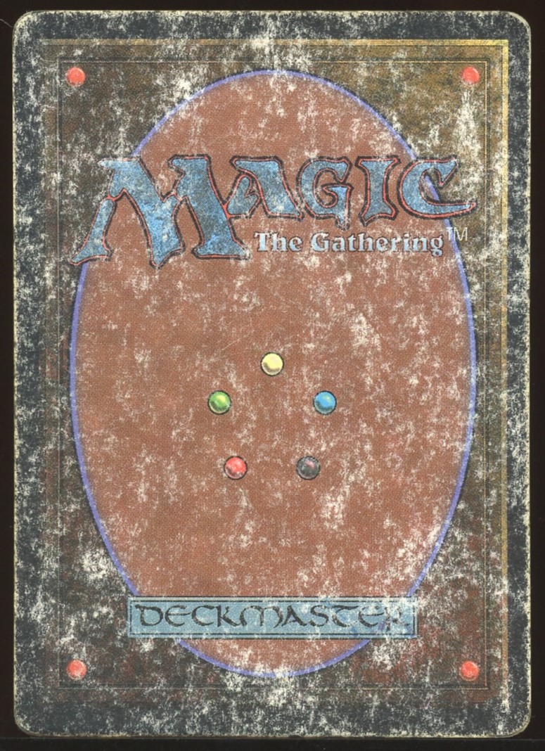 Bayou - DMG _12454