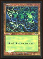 Forest Arena '99 Foil Large Star Variant _A1664