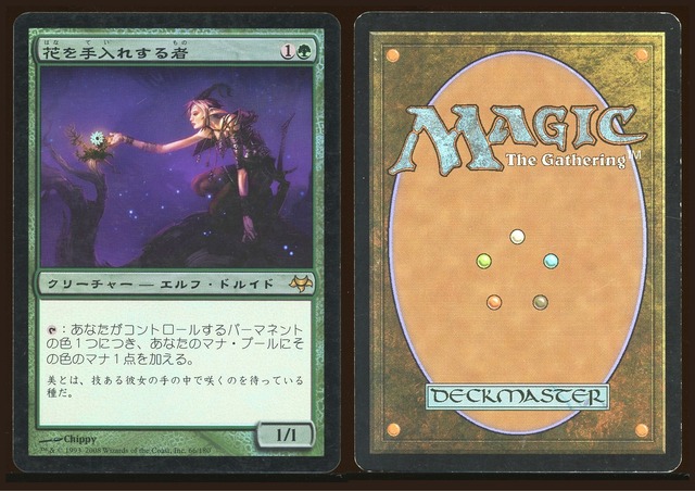 Bloom Tender Foil Japanese _A3122