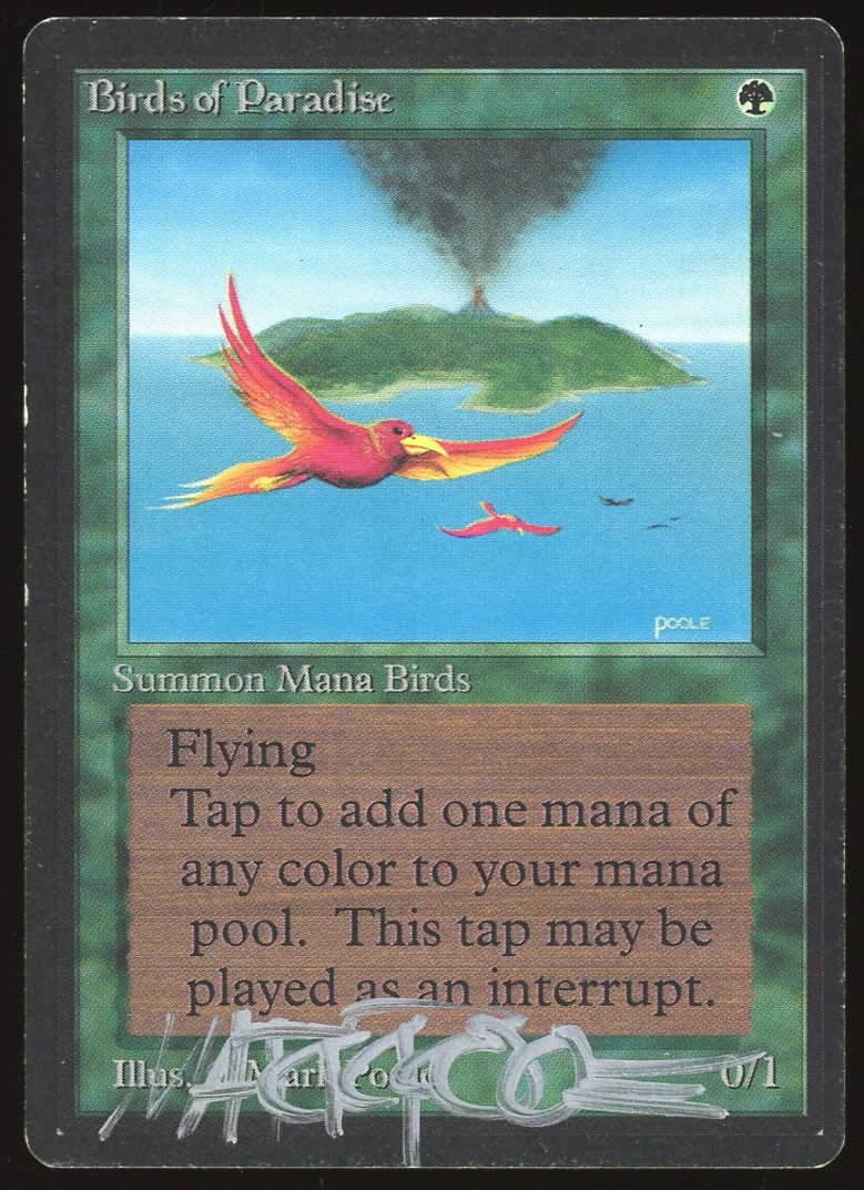 Birds of Paradise - LP Signed _8783