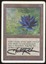 Black Lotus - HP Signed _12455