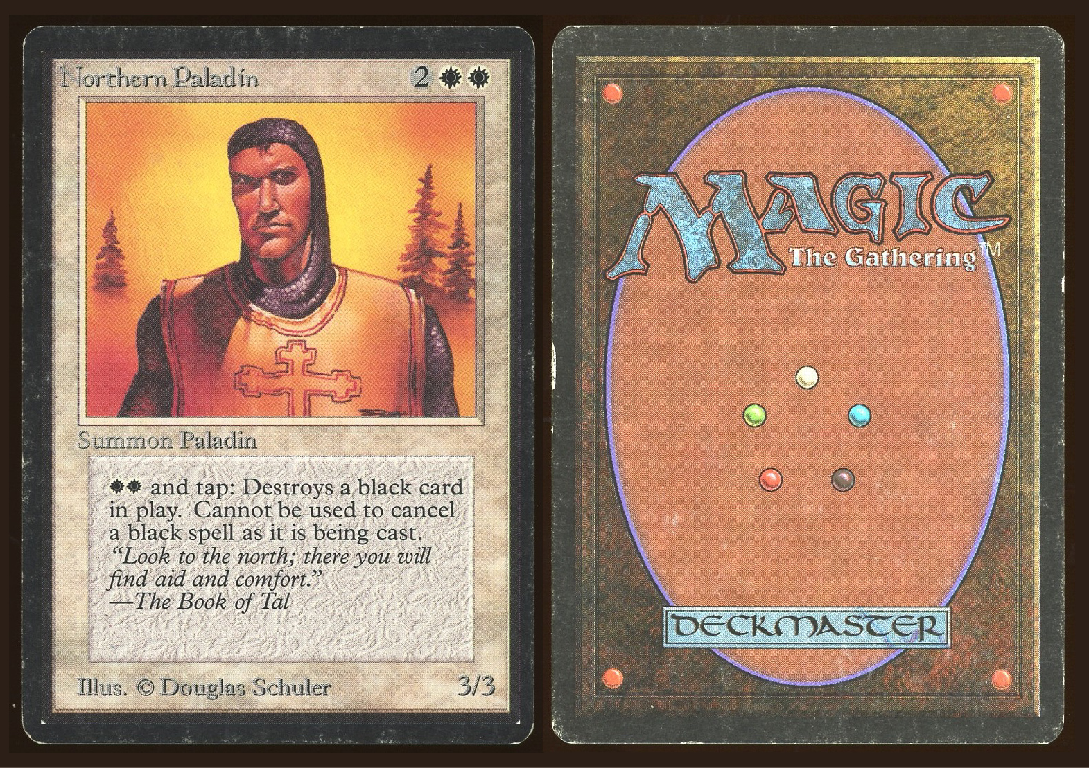 Northern Paladin _C1331