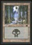 Swamp - HP _12215