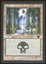 Swamp - LP _11764