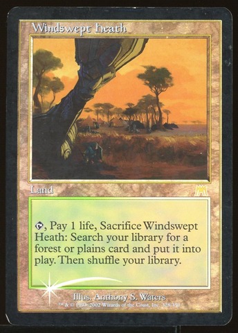 Windswept Heath - HP Foil _11879